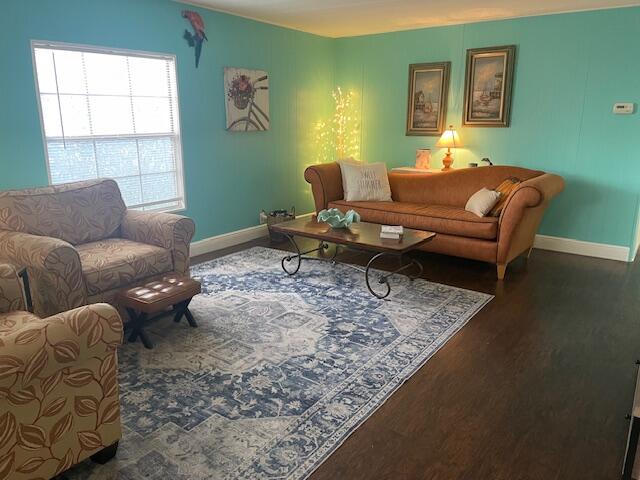 Spanish Lakes Riverfront - Residential