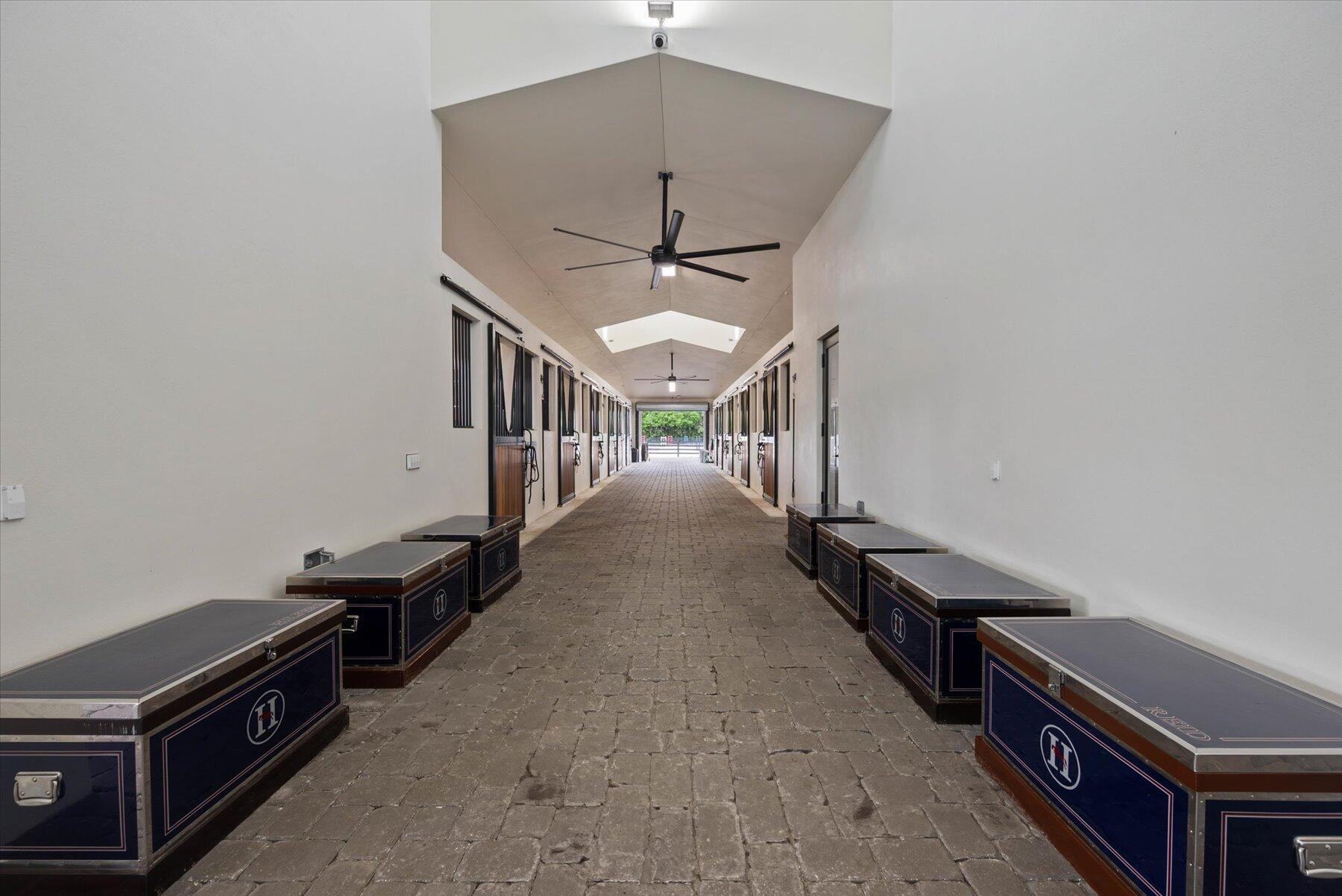 2984 Appaloosa Trail