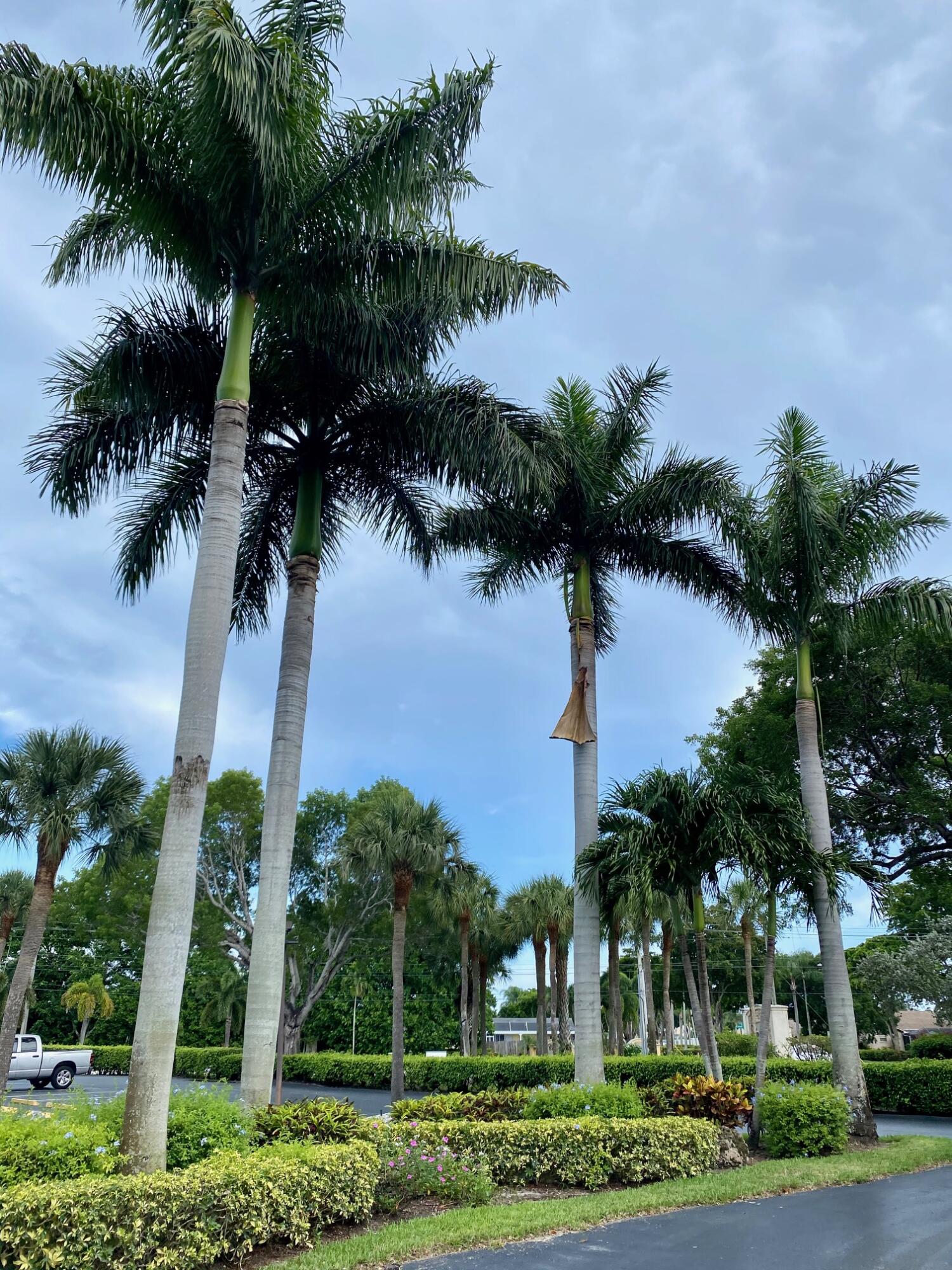 PATIOS OF BOCA BARWOOD CONDO - Residential