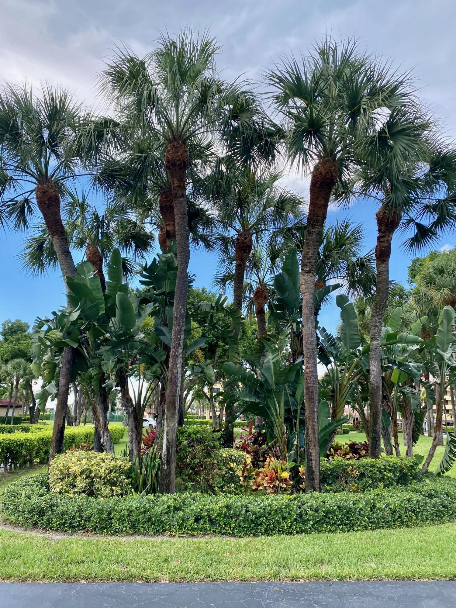 PATIOS OF BOCA BARWOOD CONDO - Residential
