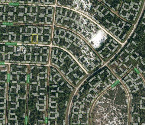 Single Family Residence in Lake Placid FL 3223 Crestwood Avenue Ave.jpg