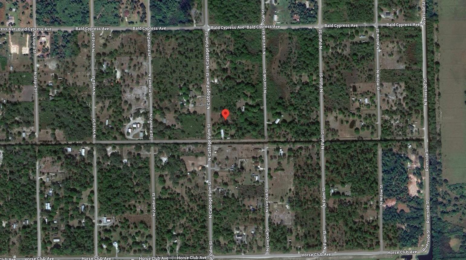 625 N Cabbage Palm Street