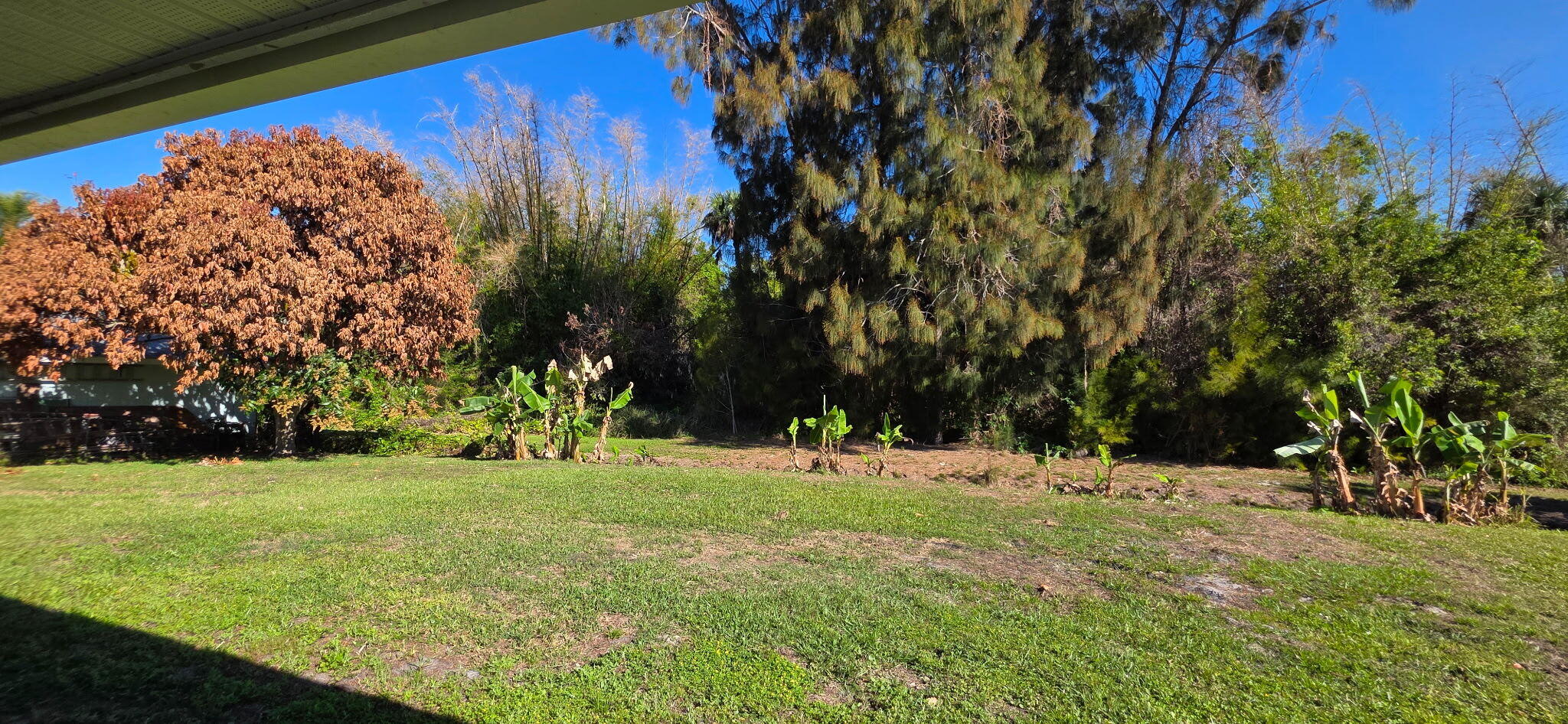 OCEAN BOULEVARD PARK - Residential