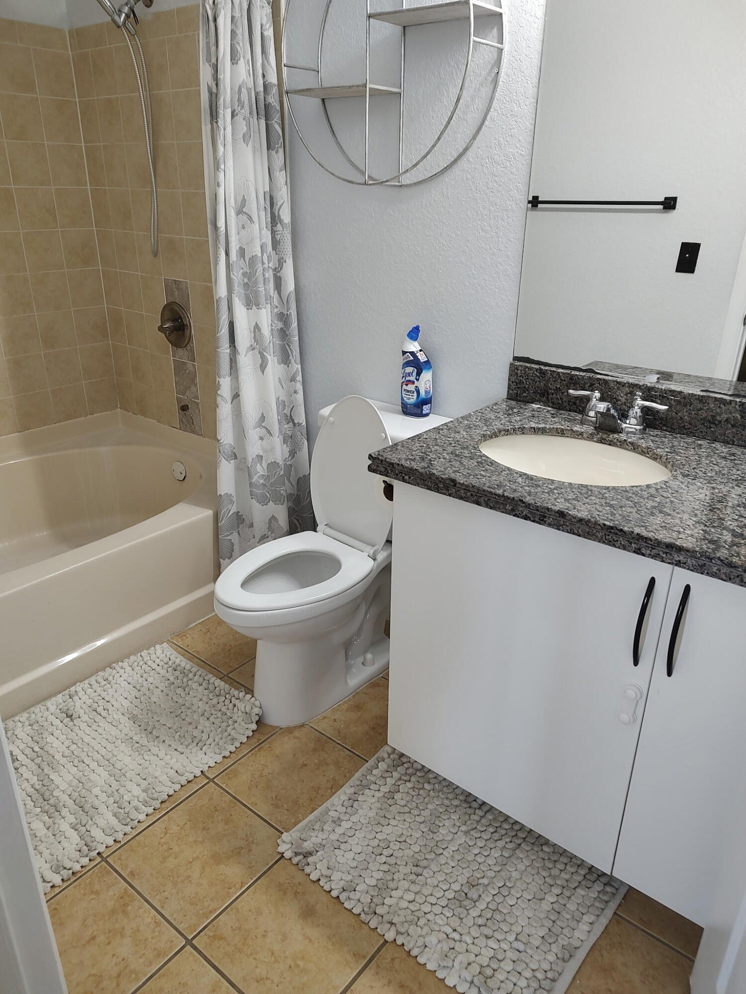 THE BELMONT II AT ST LUCI - Residential Lease