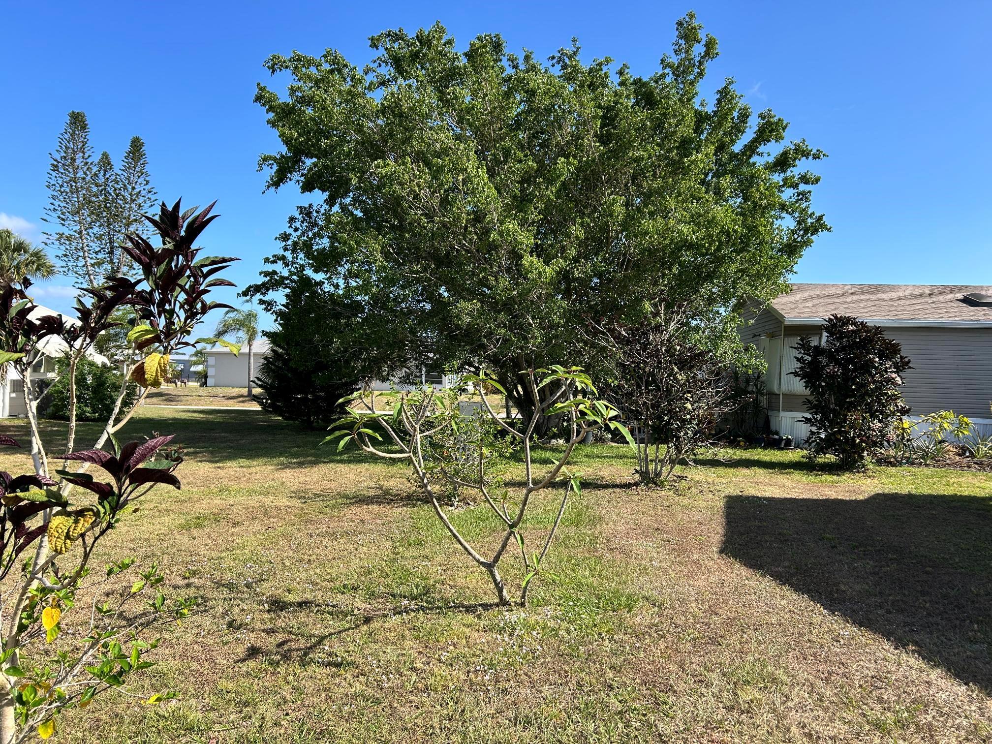 Spanish Lakes Country Clu - Residential