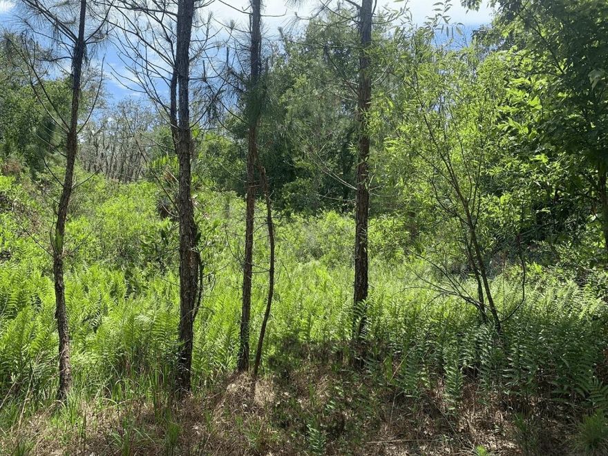 Excellent hunting on this Polk County lot. Rancho Bonito community, perfect for hunting, camping and atv riding.