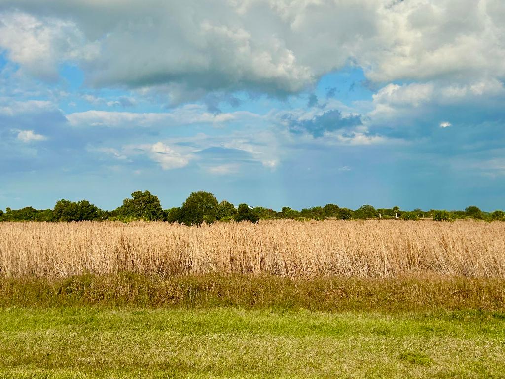 SHERMAN WOOD RANCHES - Land