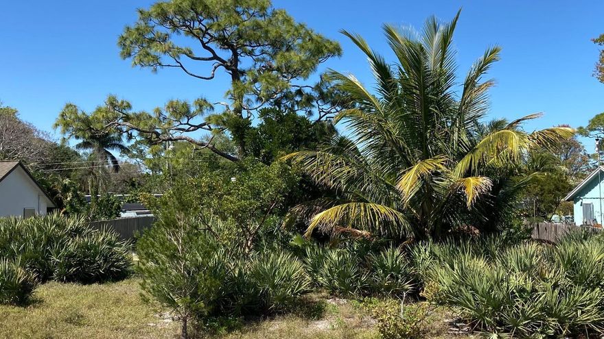 Don't miss out on this rare opportunity to acquire the only assigned vacant lot available in Poinciana Gardens. Build your dream home within this highly sought after community in Hobe Sound and enjoy tranquil Florida living with no HOA restrictions. Minutes from beaches, fishing, golfing, and state parks.Lot size: .2152 acres (9,375 sf), Front building setback: 20', Rear & side setback: 6-10', Maximum building height 30' (3-story), Maximum building coverage: 35%