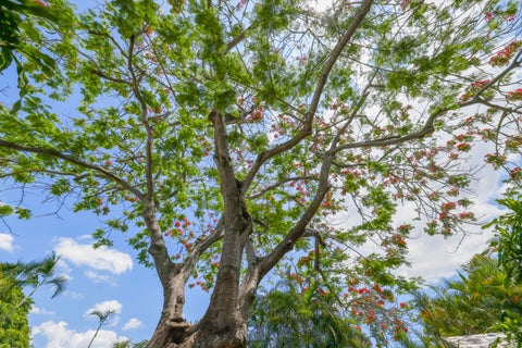 Tiny photo for 1720 SW 10th Street, Boca Raton, FL 33486 (MLS # B26023642)