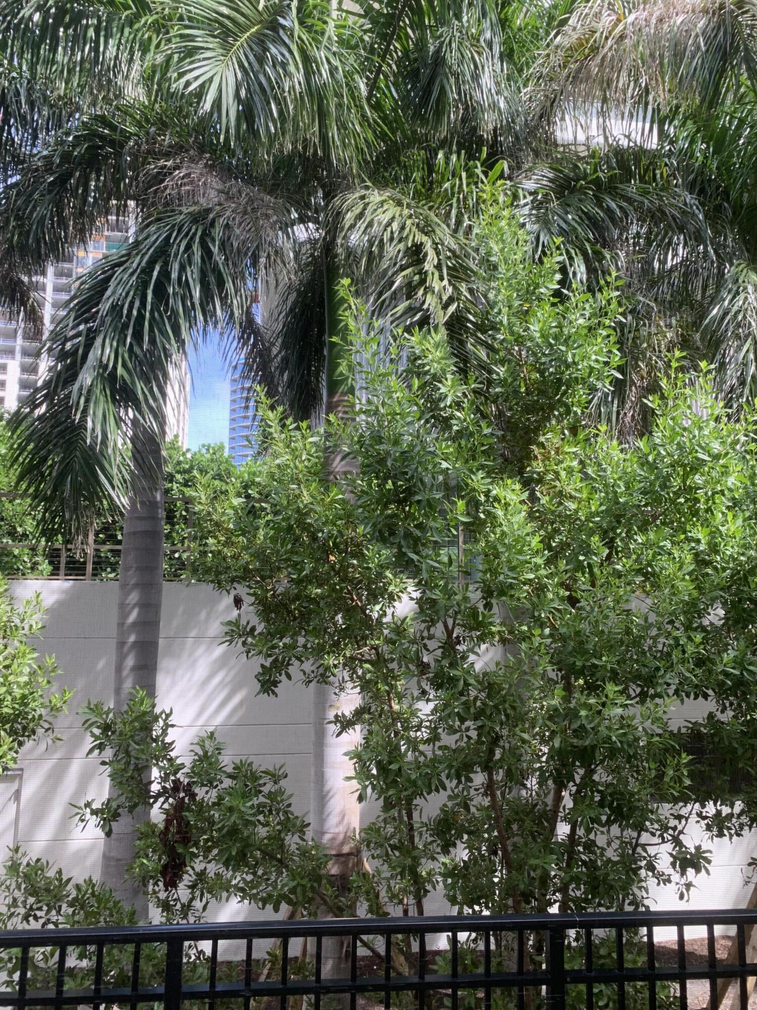 VIKING ARMS CONDO - Residential