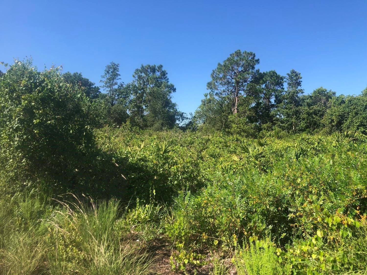 Nice building lot in Avon Park, FL. Owner financing with only $1,000 down!!!
