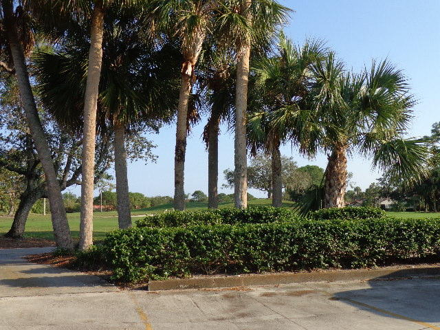 HERONWOOD - Residential Lease