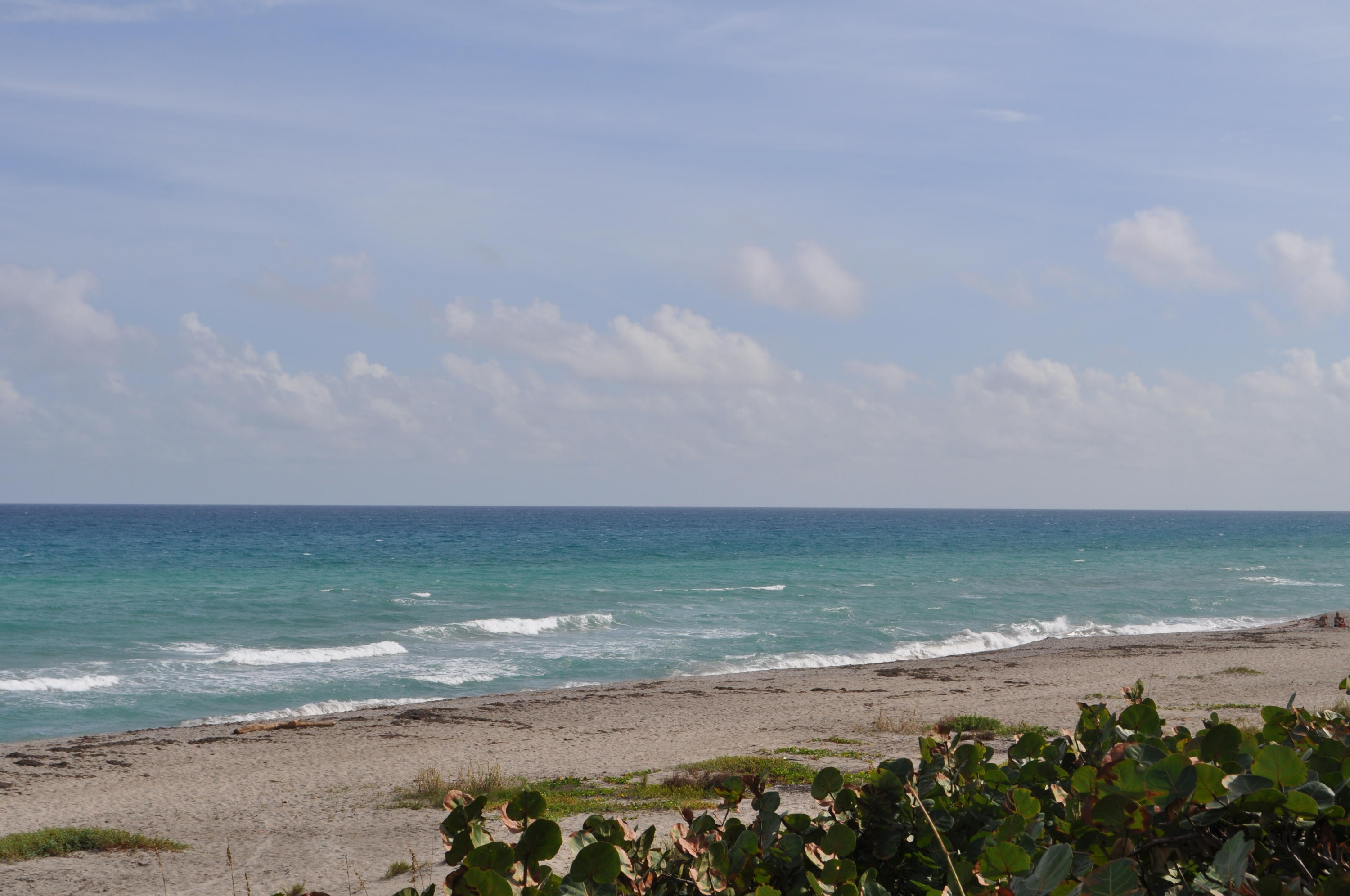 PLEASANT RIDGE - Residential