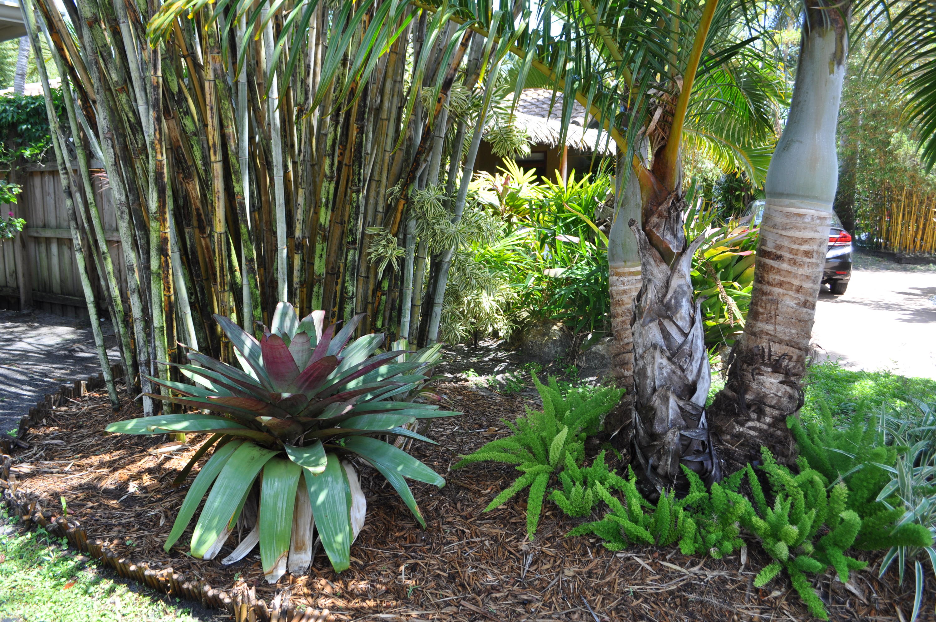 PLEASANT RIDGE - Residential