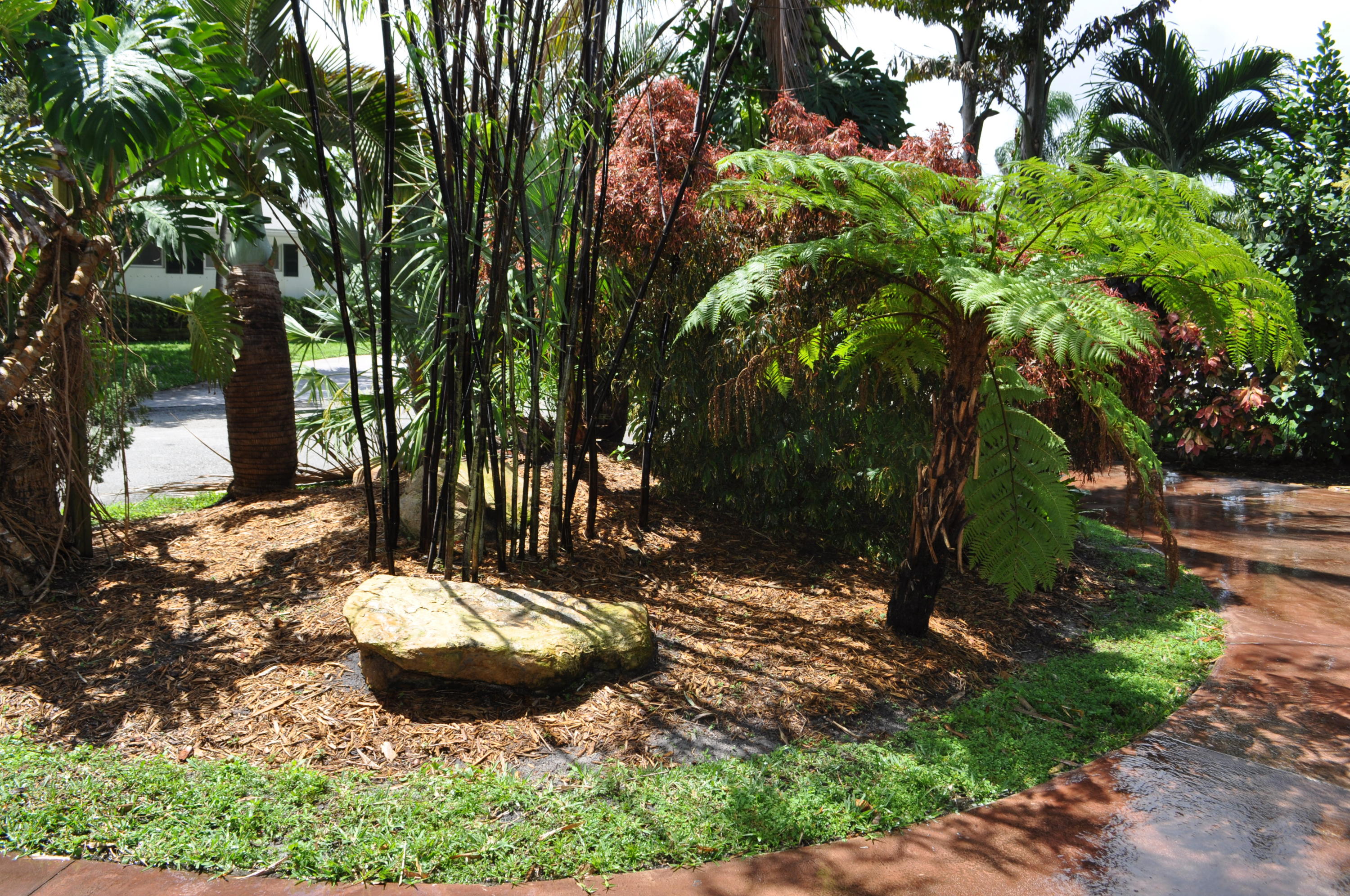 PLEASANT RIDGE - Residential