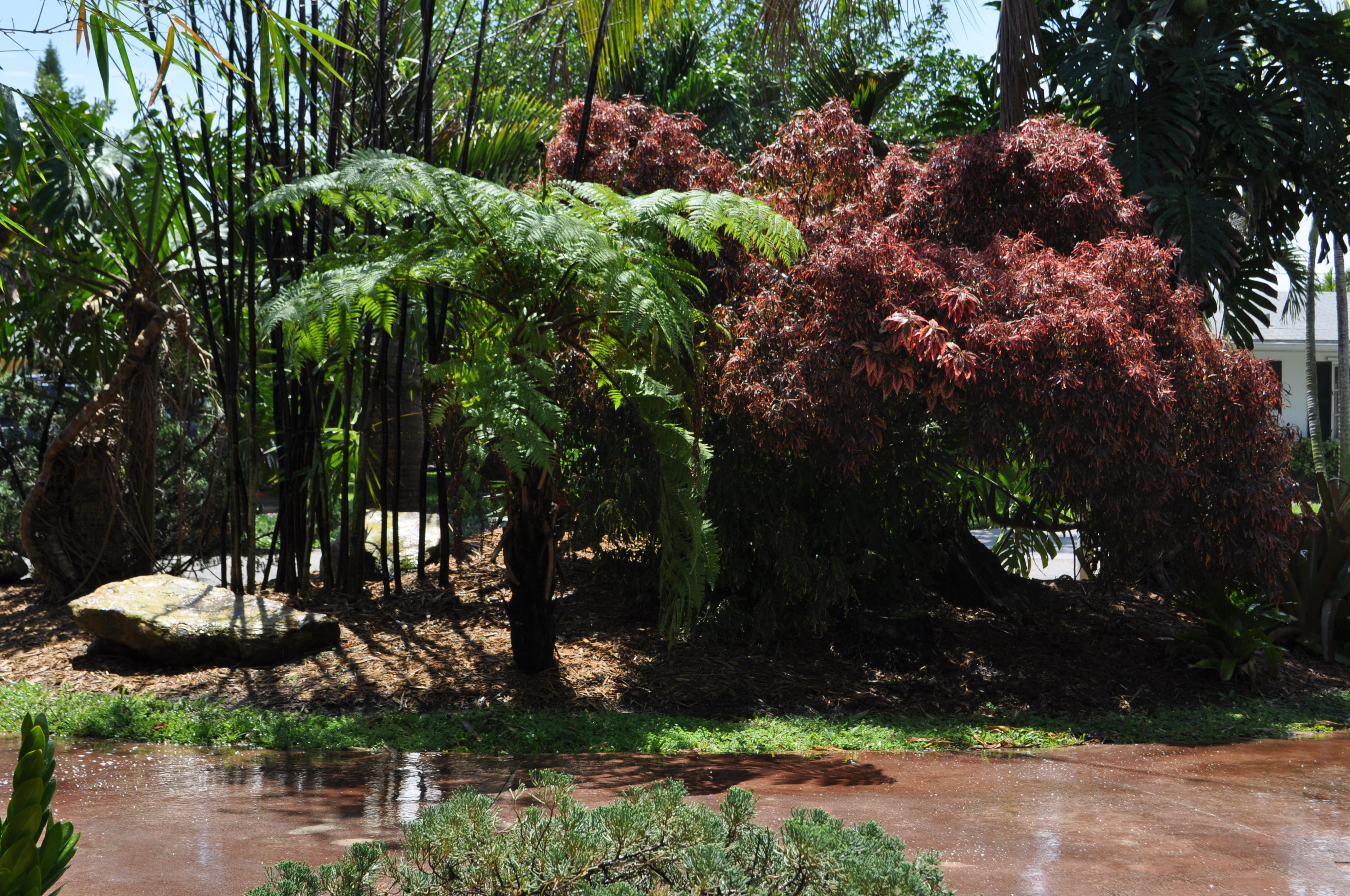 PLEASANT RIDGE - Residential