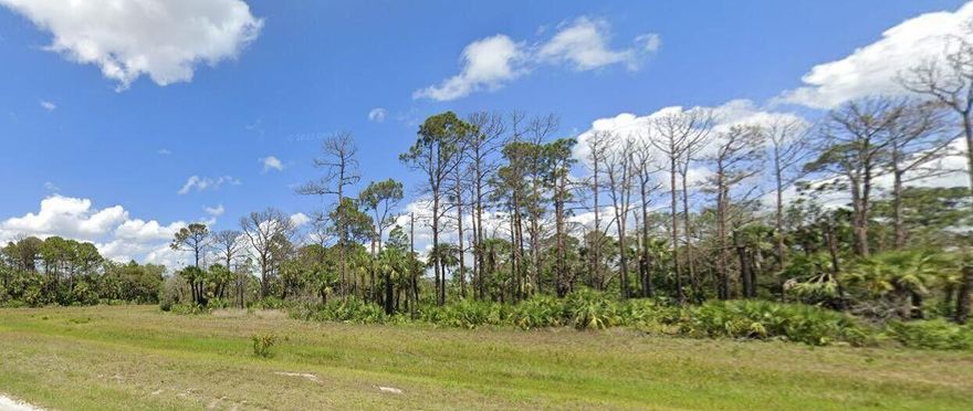 Vacant lot in Port LaBelle. Minimal clearing is needed, and no flood zone. The county maintained paved roads with new construction homes in the surrounding area. Easy to get started on building your own custom home. Central water is in the area and will require a hook-up and a septic tank. No HOA. High-speed fiber internet and central is in the area. This is your chance to build your own home the way you like for less.  Invest in your tomorrow today!