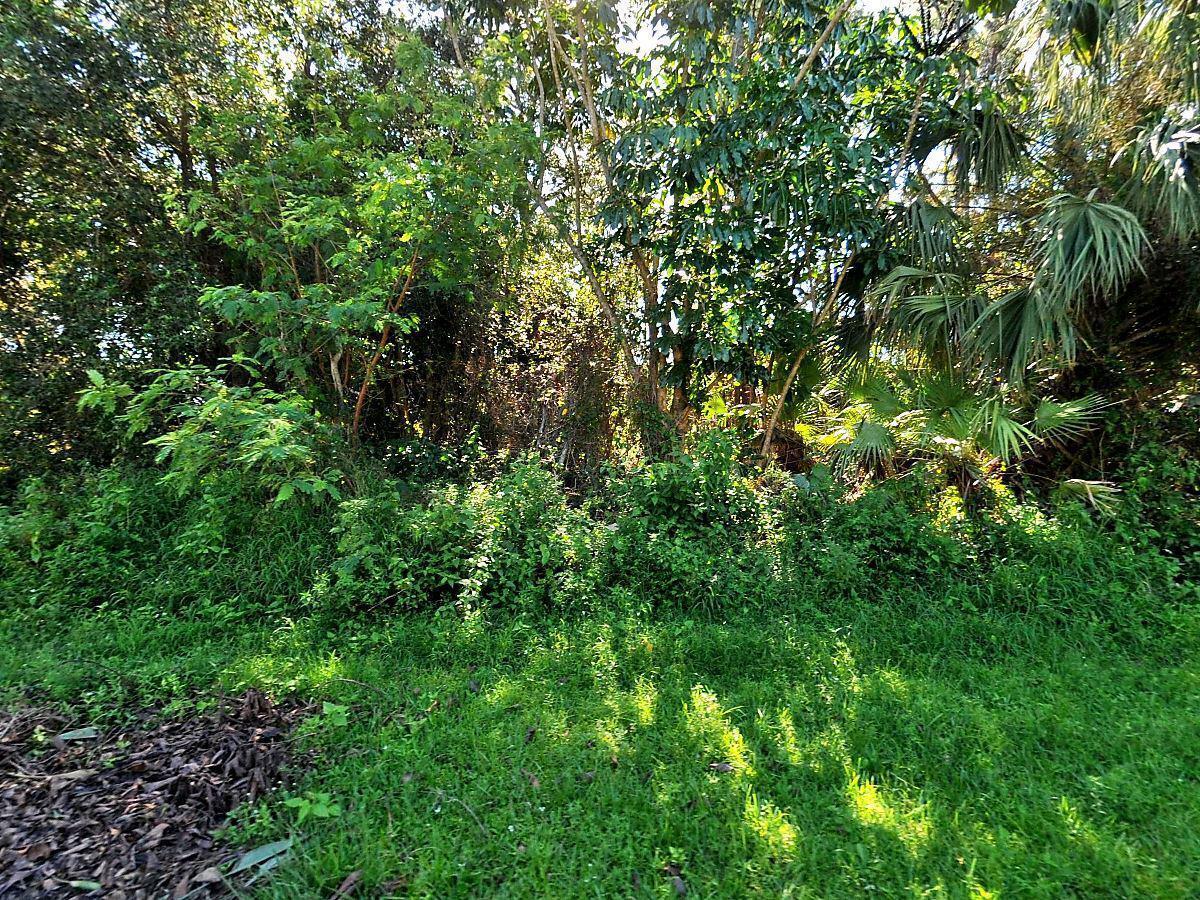 Perfect location to build your dream home located in central Port St. Lucie easy access to nearby shopping centers, entertainment and highways for commuters.
