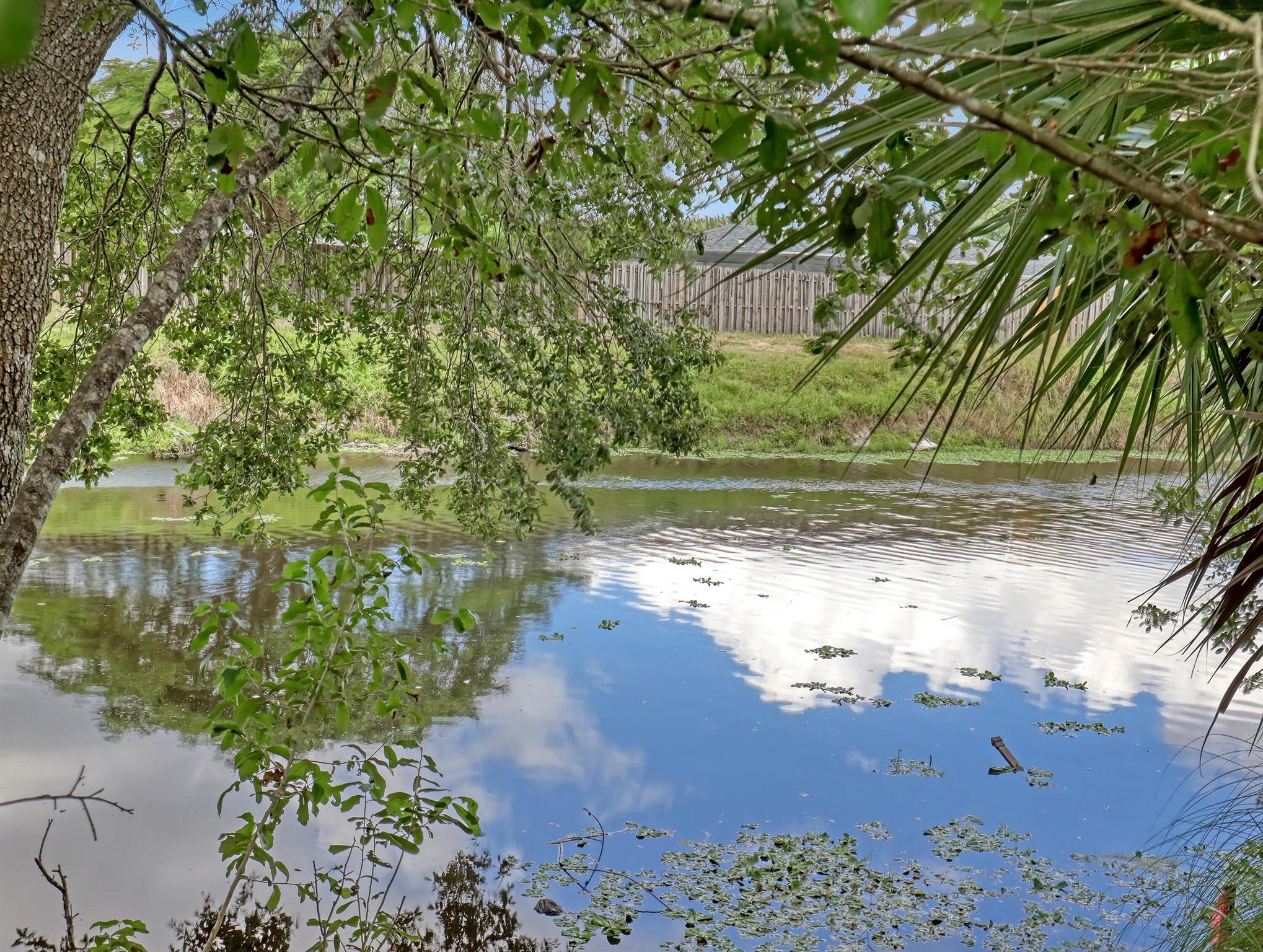 AMERICAN HOMES AT BOCA RA - Residential Lease