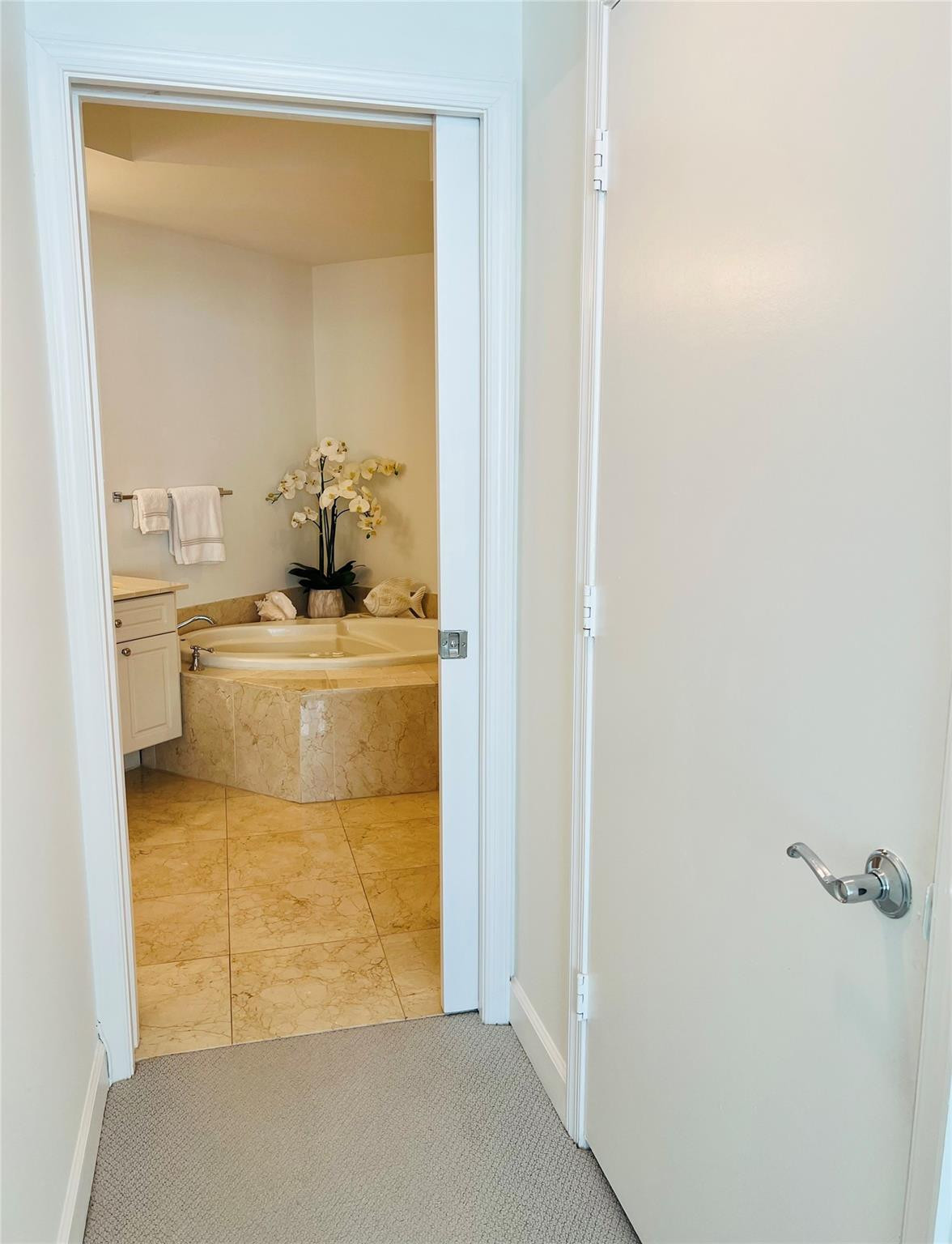 VENEZIA LAS OLAS CONDO - Residential Lease