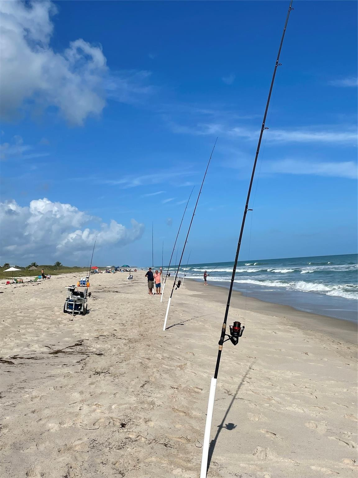 Ocean Resorts Cooperative - Residential