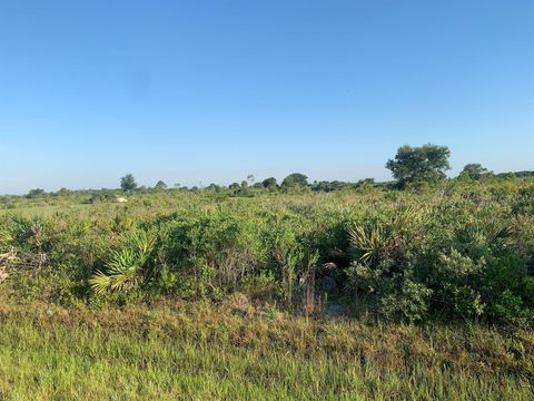 19142 NW 264th Street Okeechobee FL 34972