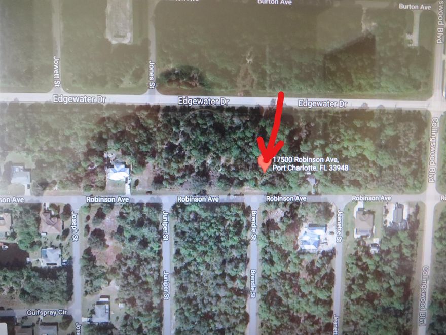 This vacant lot is for the residential single family dream home. The location is close to shopping, restaurants and minutes to beaches.