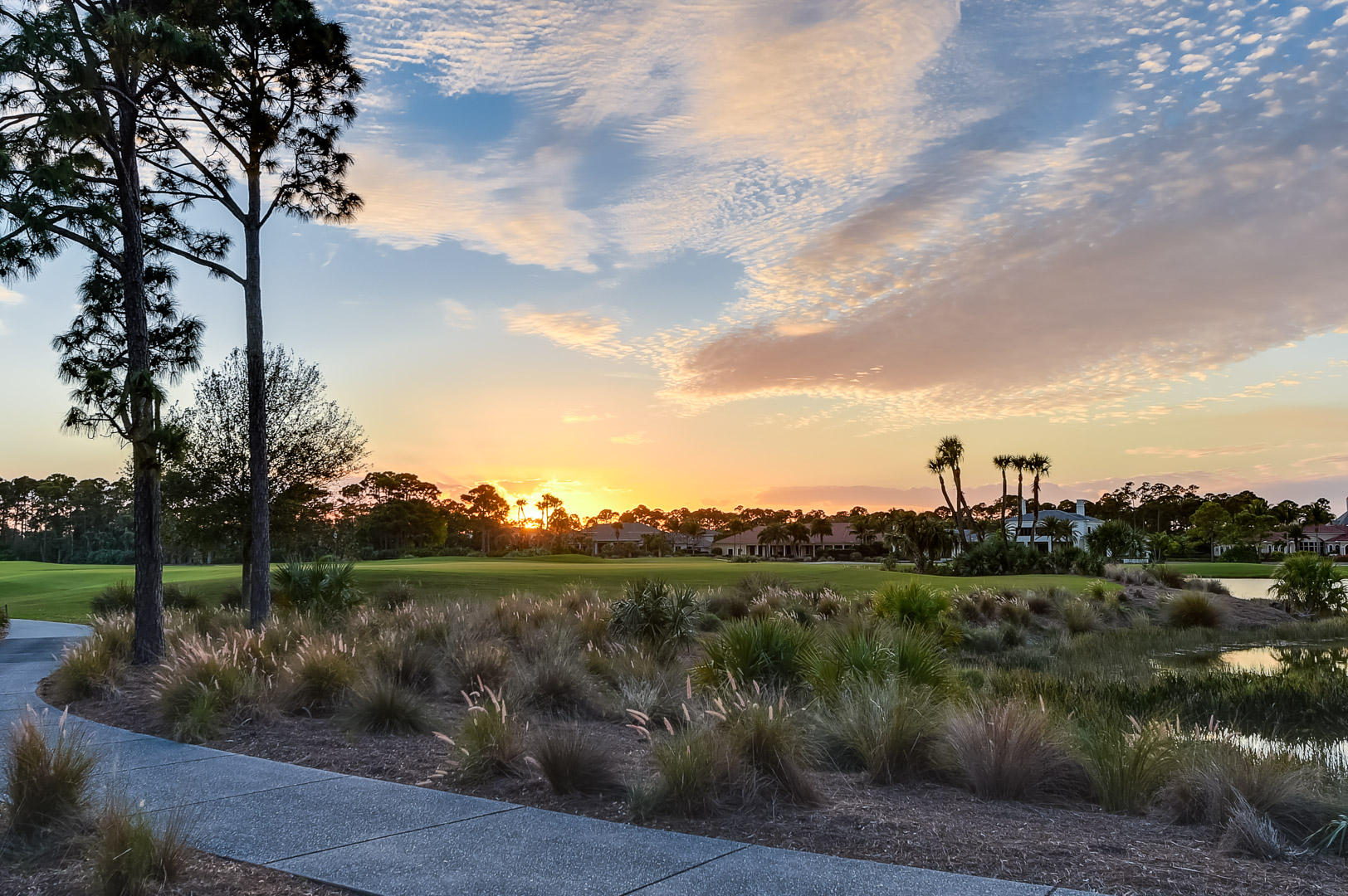 OLD PALM PL - Residential