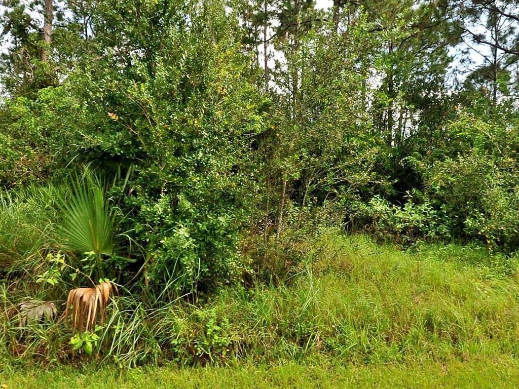 Photo of 1581 SW Hibiscus Street, Port Saint Lucie, FL 34983 (MLS # R10753068)