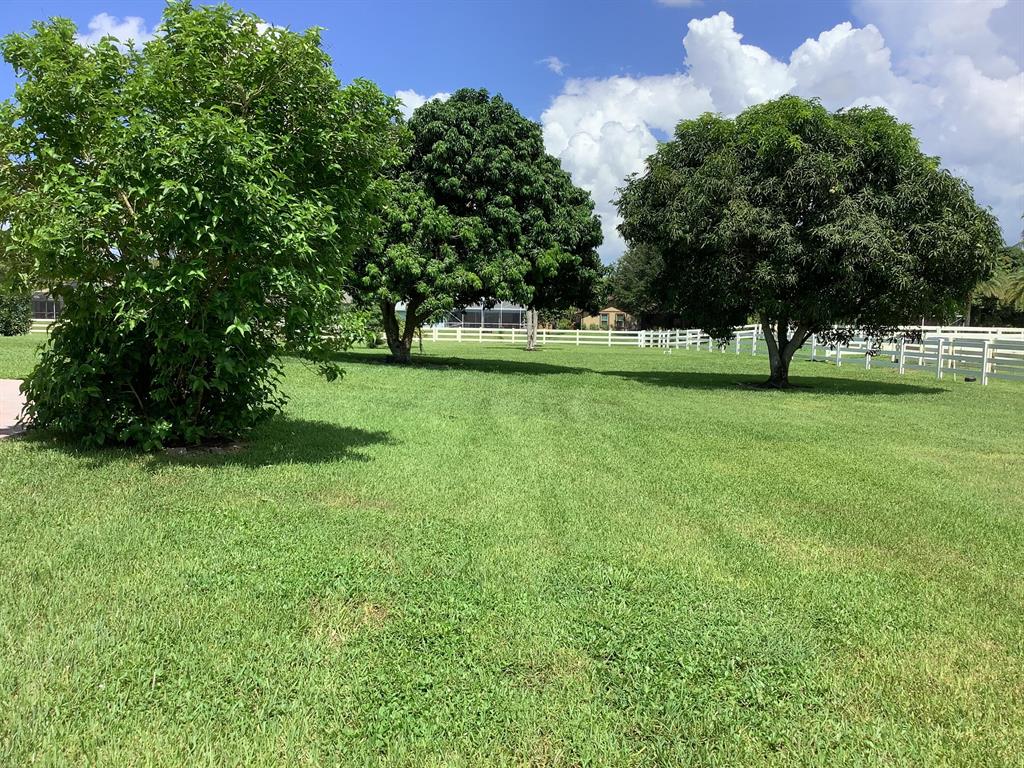 Paddock Park II - Residential Lease