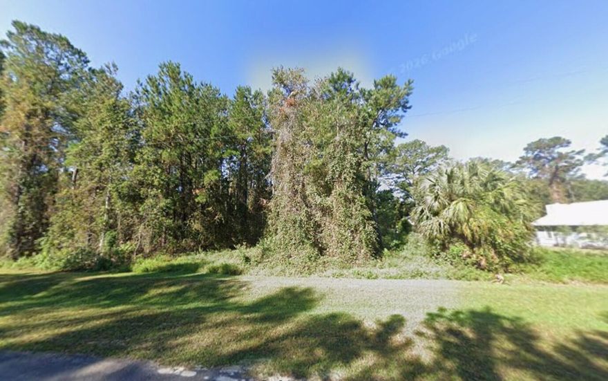 Build your dream home on this spacious 0.51-acre vacant lot located in the peaceful community of Melrose, FL. This oversized parcel offers plenty of room for a custom home, workshop, boat storage, or outdoor living space while still providing privacy and a quiet country atmosphere. Conveniently located near local lakes, parks, schools, and major roadways for easy access to Gainesville, Palatka, and surrounding areas. Whether you're looking to build now or invest for the future, this property offers endless potential in a growing area of North Florida. Buyer to perform all due diligence regarding zoning, land use, utilities, and building requirements.
