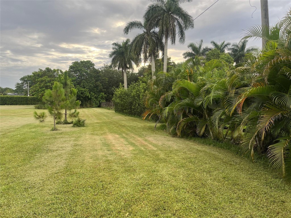 Opossum 136-29 B - Land