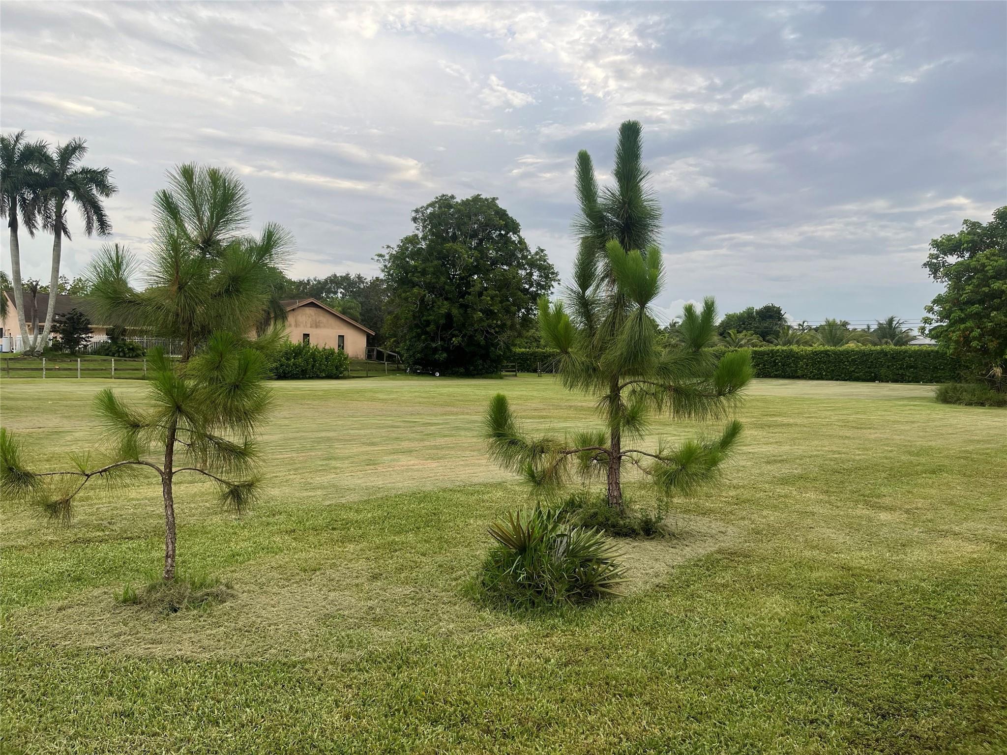 Opossum 136-29 B - Land