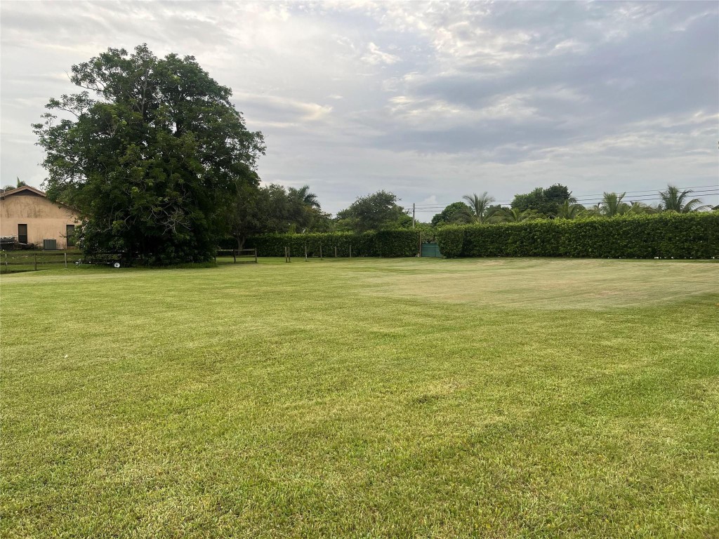 Opossum 136-29 B - Land