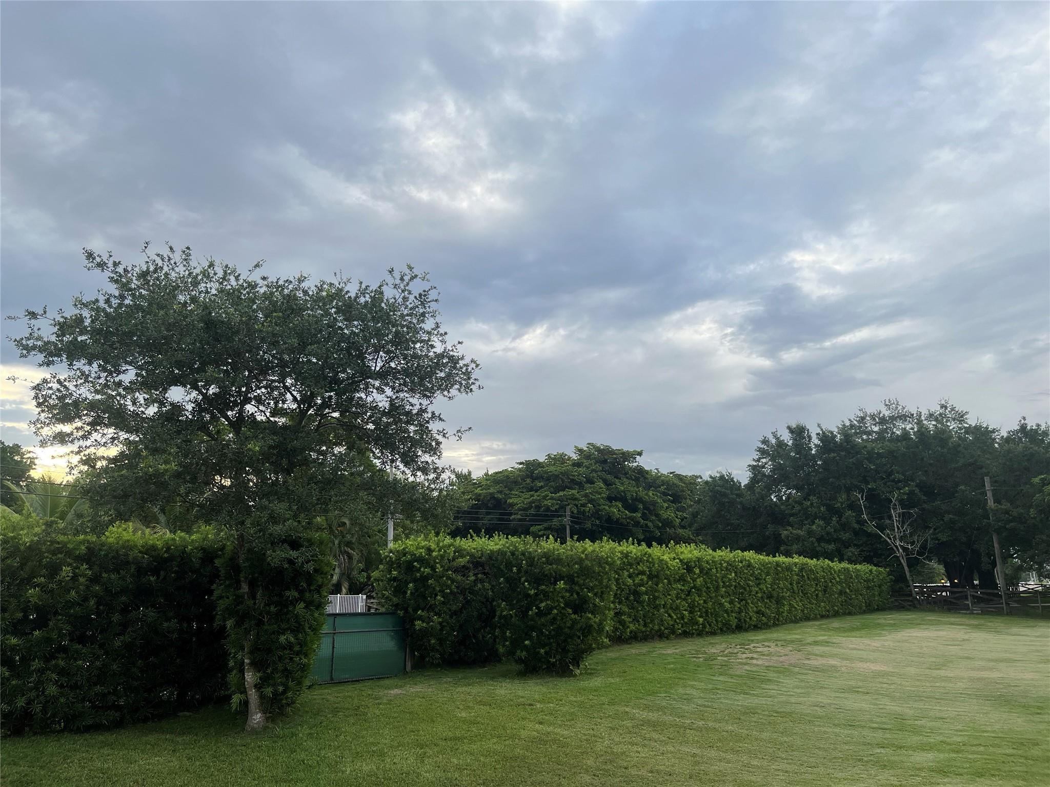 Opossum 136-29 B - Land