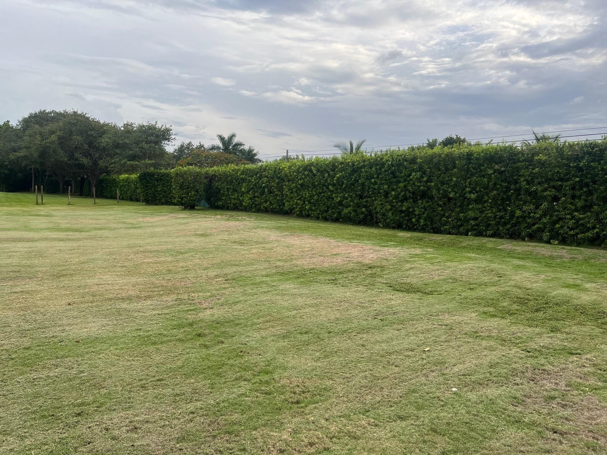 Opossum 136-29 B - Land