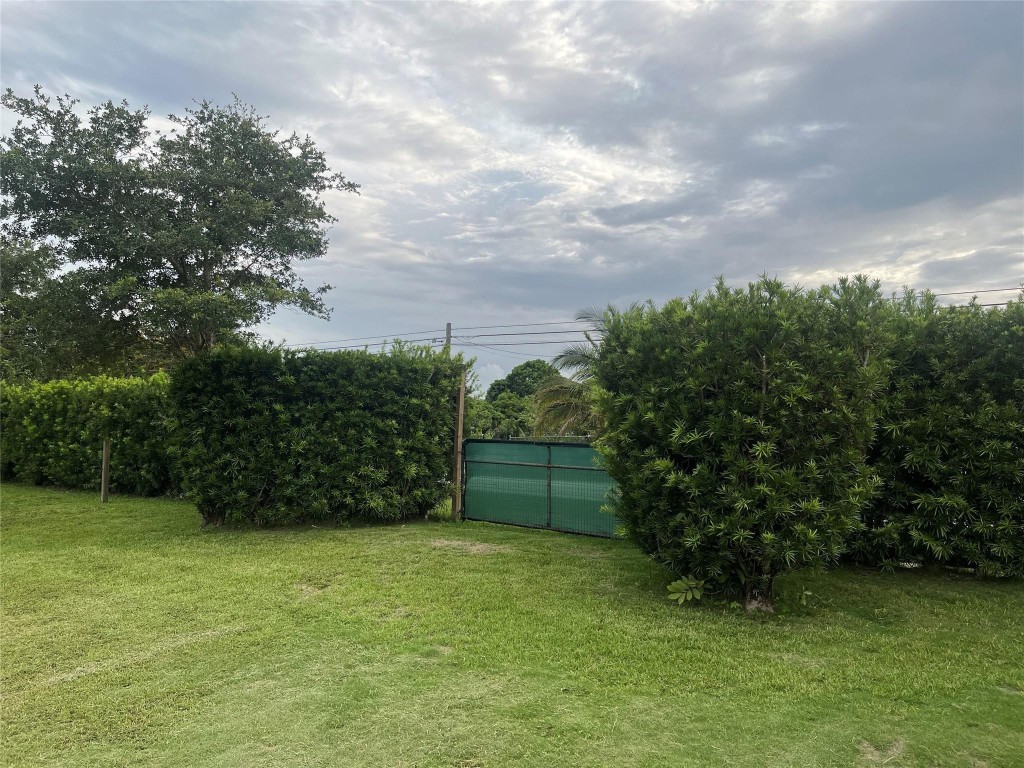 Opossum 136-29 B - Land