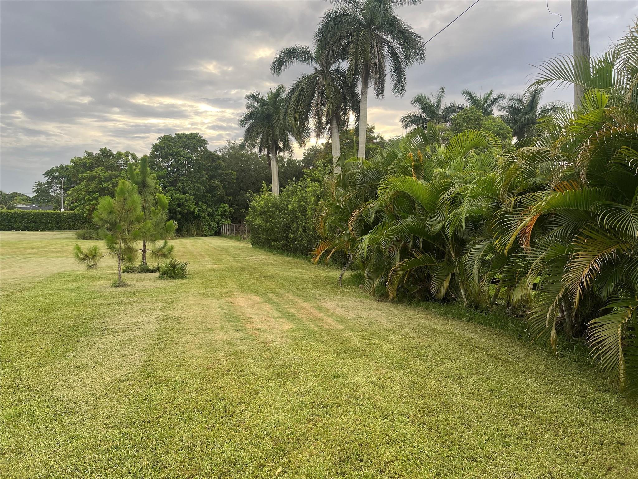 Opossum 136-29 B - Land