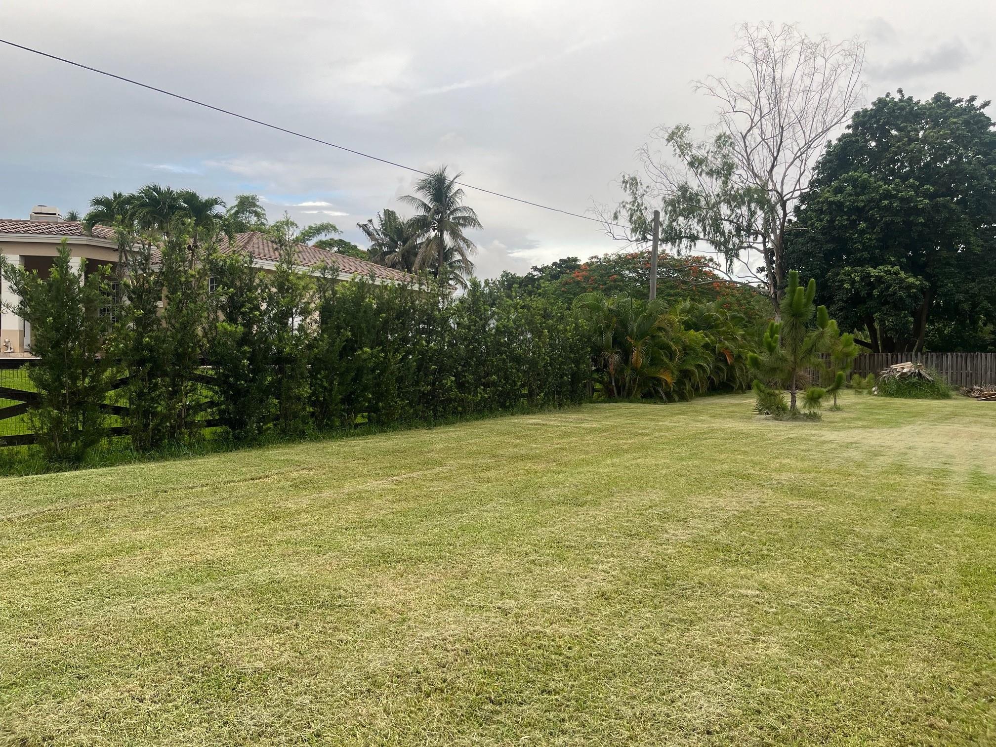 Opossum 136-29 B - Land