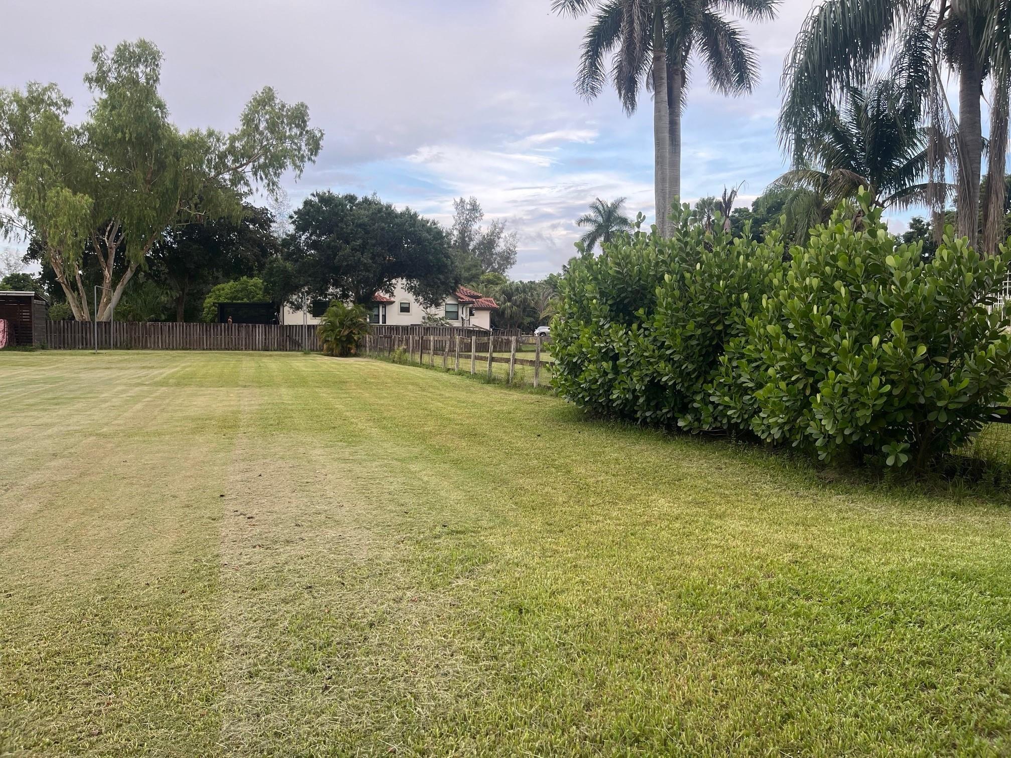 Opossum 136-29 B - Land