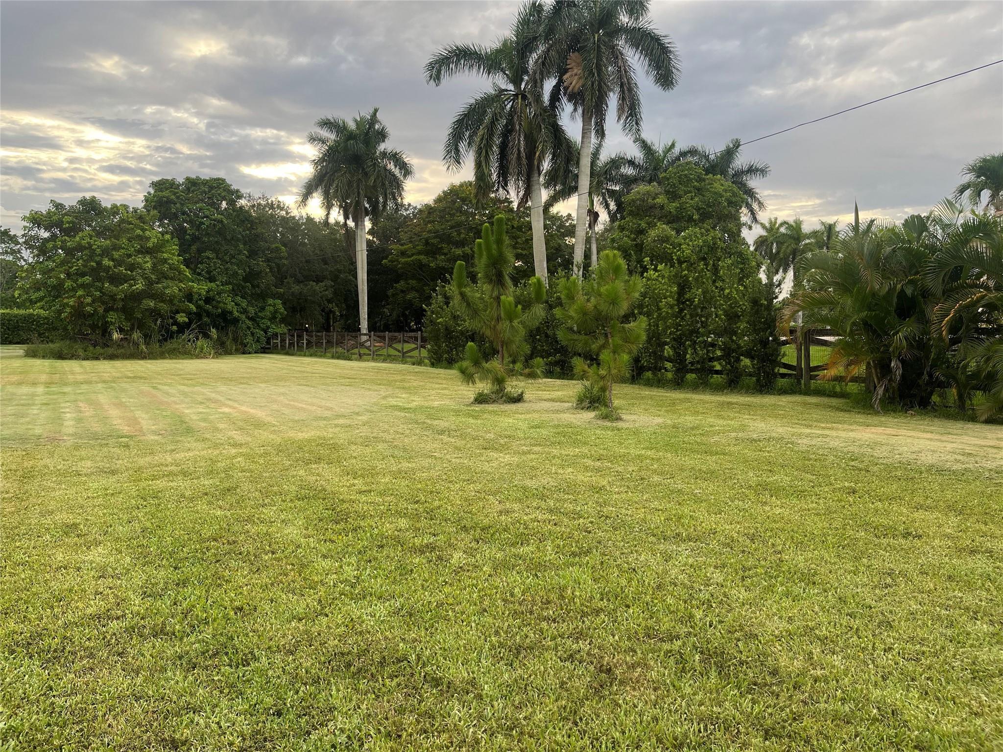 Opossum 136-29 B - Land