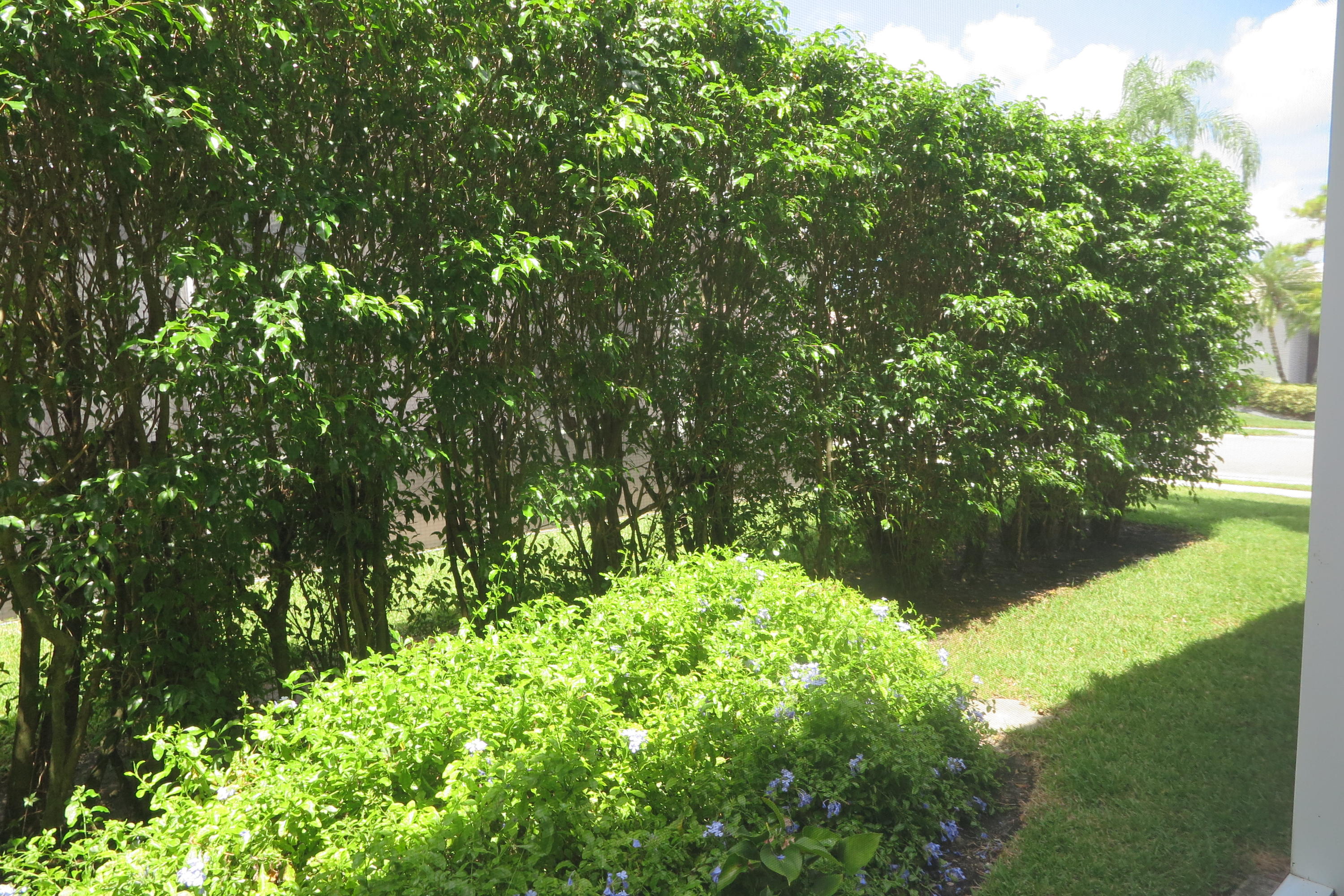 Avalon Estates - Residential