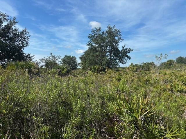 5 acres in Viking Estates. Close to the Kissimmee Prairie State Park. Bring your 4 -wheelers. This property is not only ideal for recreational uses such has camping, hunting and shooting, but it’s agricultural as well.
Owner financing with only $6k down