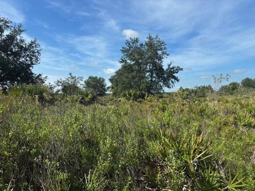 5 acres in Viking Estates. Close to the Kissimmee Prairie State Park. Bring your 4 -wheelers. This property is not only ideal for recreational uses such has camping, hunting and shooting, but it’s agricultural as well.
Owner financing with only $6k down