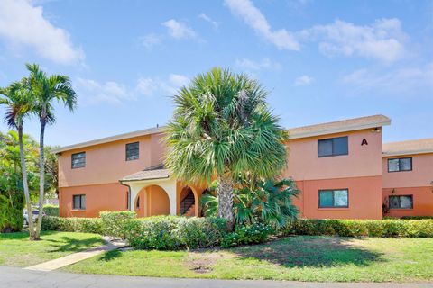 50 SE 12th 1310 Street 1310 Boca Raton FL 33432