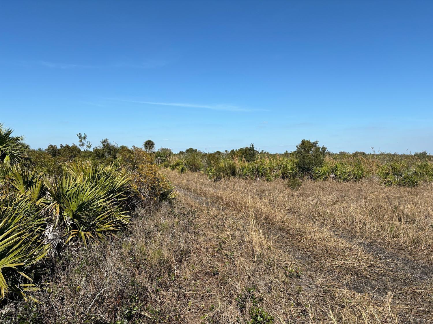 Great agricultural property, campsite, or both in Okeechobee, FL. Lots of palmettos and only $2k down with owner finance