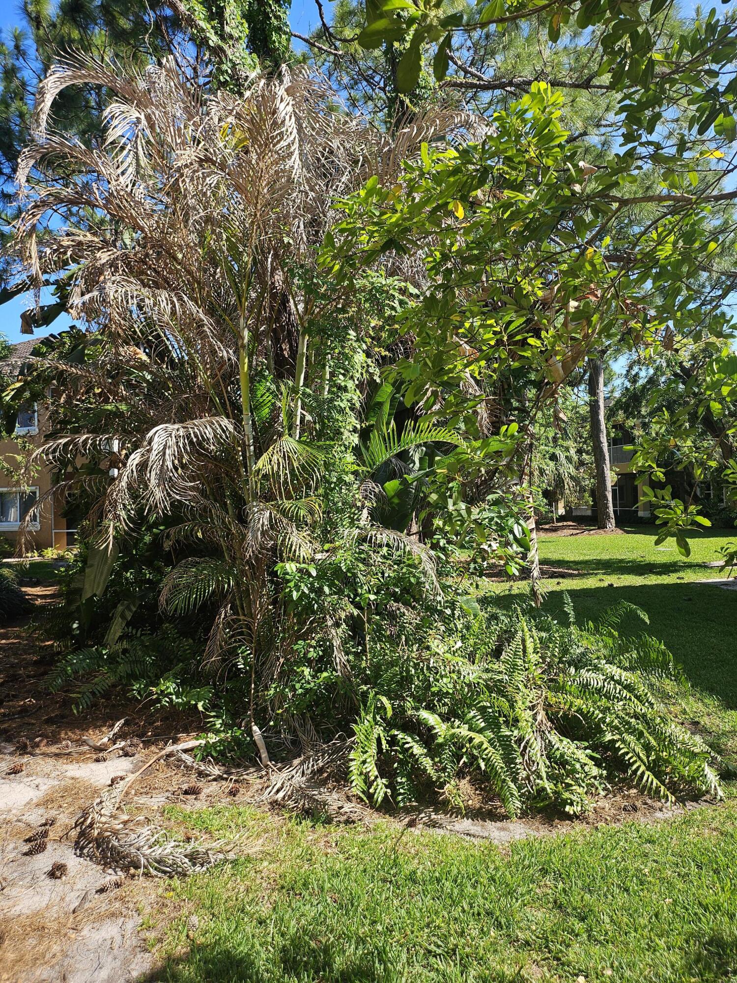 Castle Pines Condo - Residential Lease