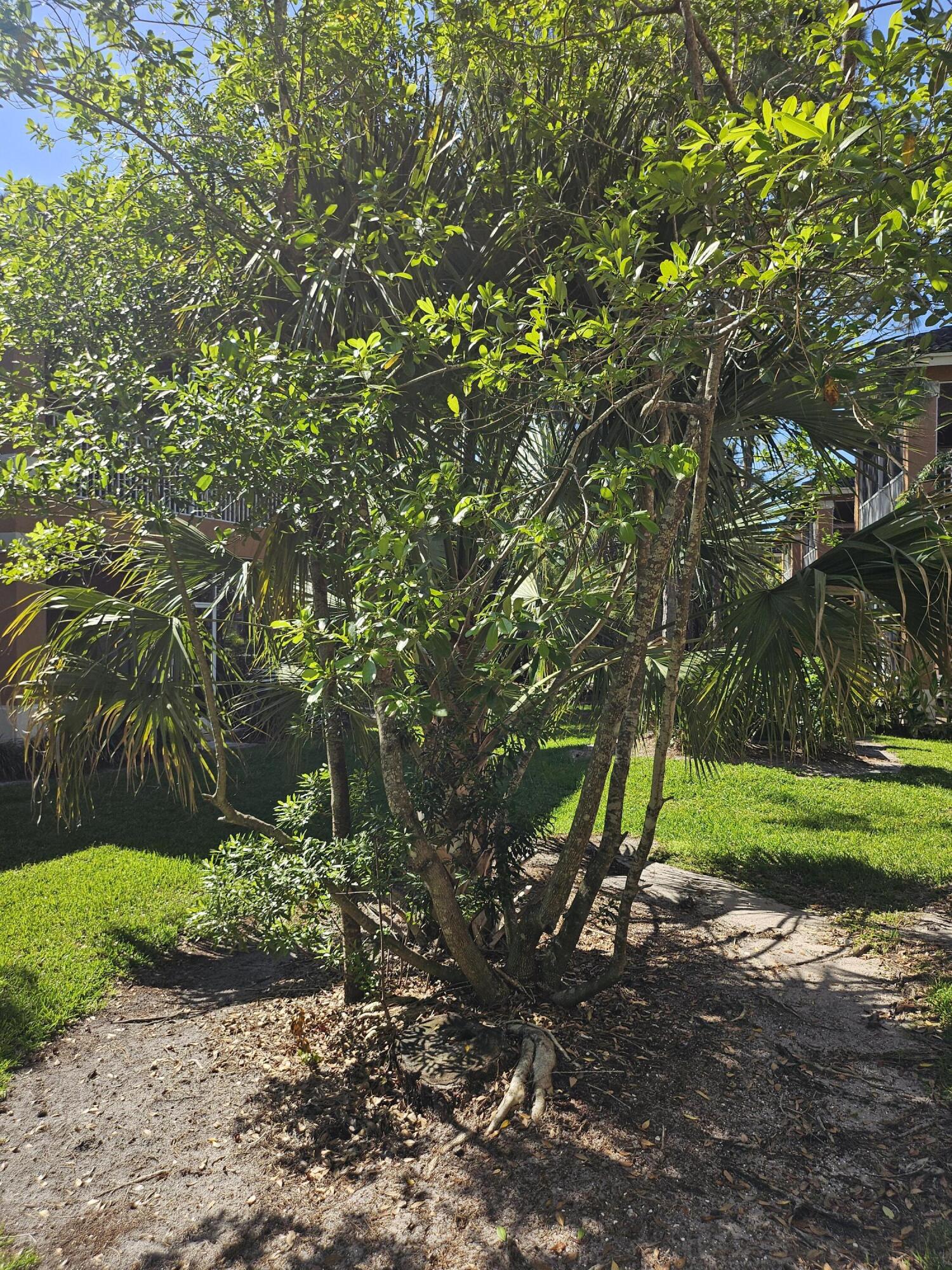 Castle Pines Condo - Residential Lease