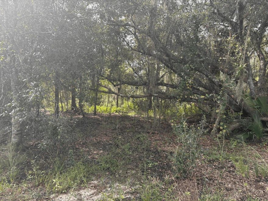 1.26 wooded acres in Viking Estates. Close to the Kissimmee Prairie State Park. Bring your 4 -wheelers. This property is not only ideal for recreational uses such has camping, hunting and shooting.
Owner financing available