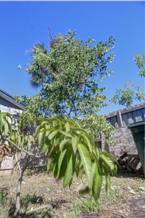 CITY SQUARE - Residential